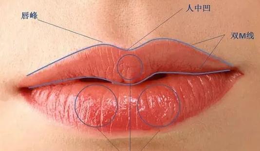 世界上最厚的嘴唇,世界上嘴唇最厚的人是谁