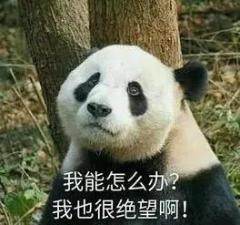 为什么浴室柜这么不环保,为什么你的柜子不好看