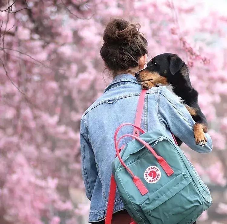 20款好看又实用的女士双肩包推荐,好用又好看的便宜双肩包推荐