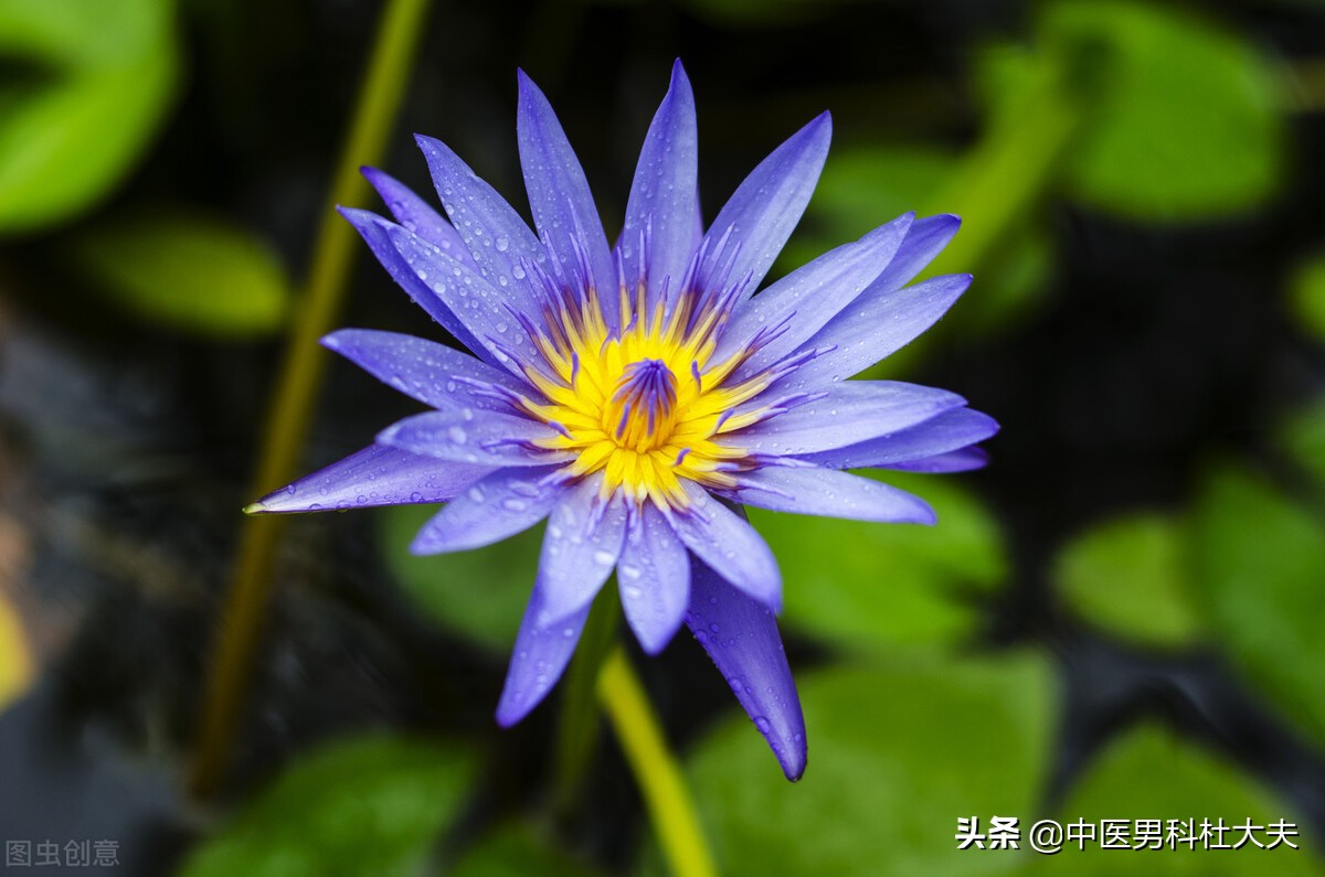 三高伴有阳虚怎么样调理,三高型肾虚吃什么药