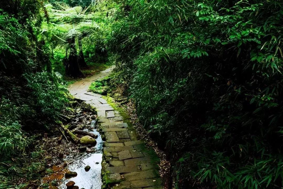 中秋优惠团购景区,团购石象湖门票