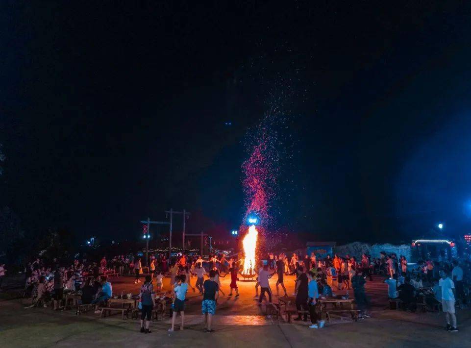 合肥四季花海公园属于几a级景区,合肥滨湖四季花海怎么坐车去