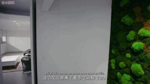 全国数万条家庭视频曝光,非典型纪录片