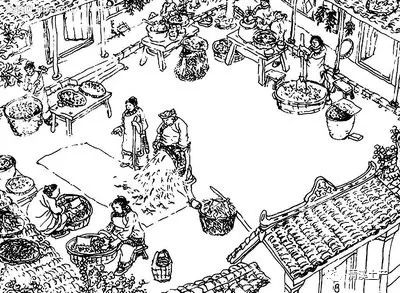 汉源花椒历史文化背景