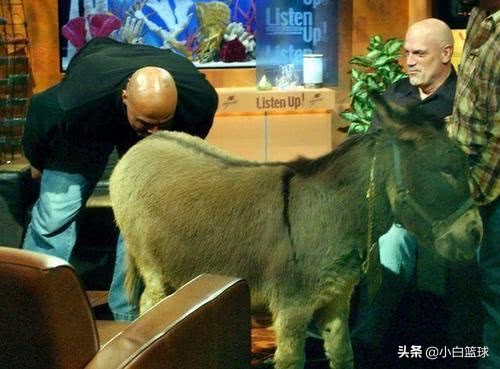 巴克利詹皇湖人,美媒评詹姆斯战胜活塞