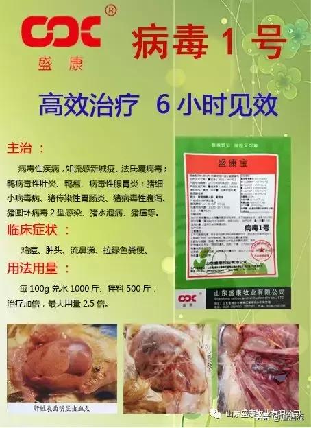 鸭子烂嘴脱皮怎么治疗,鸭子烂嘴怎么办