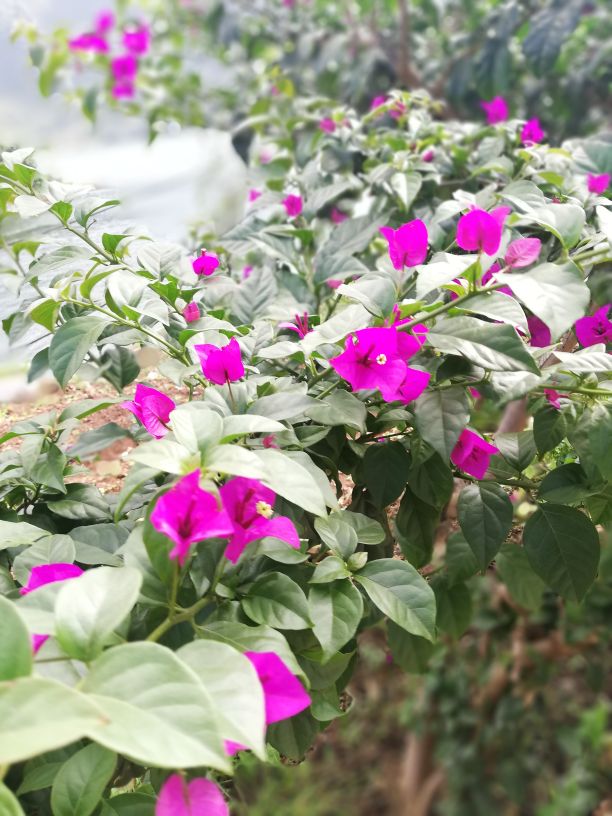 婚姻出现了裂痕还能过下去吗,我发现了婚姻破裂的3个真相