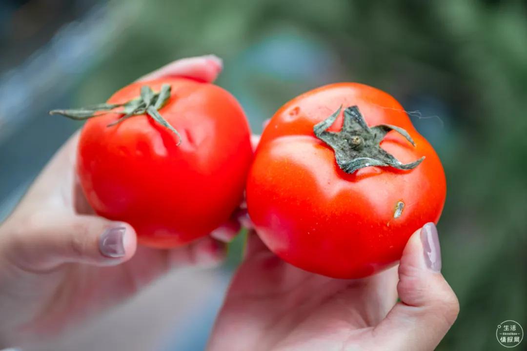 手机买菜平台有哪些,深圳人在哪个app上买菜