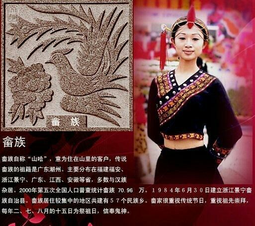 中国五十六个民族的服饰,56民族图腾图