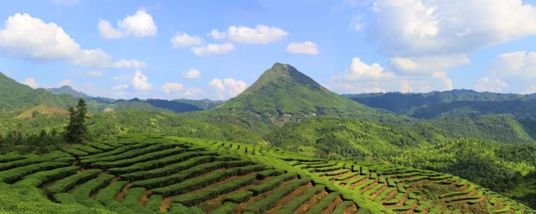 梅州最好的山风景,梅州旅游景点最高峰在哪里