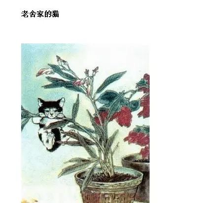 钱钟书和林徽因的护猫之战 (钱钟书的猫跟谁的猫打过架)