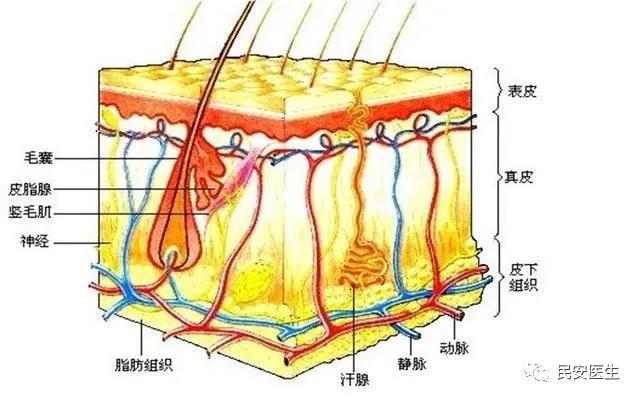 右小腿烧烫伤处理操作视频,老人烧烫伤急救处理方法