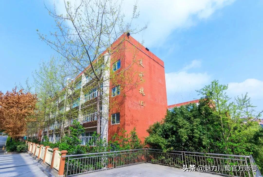 蹇嗗偿宓樺瞾鏈堟偀闈掓槬鎷呭綋蹇冨緱,蹇嗗偿宓樺瞾鏈堥摥鍒濆績浣垮懡瀛︿範浣撲細