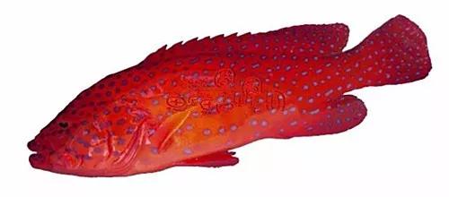 世界顶级海鲜鱼类,史上最完整鱼类海鲜图鉴