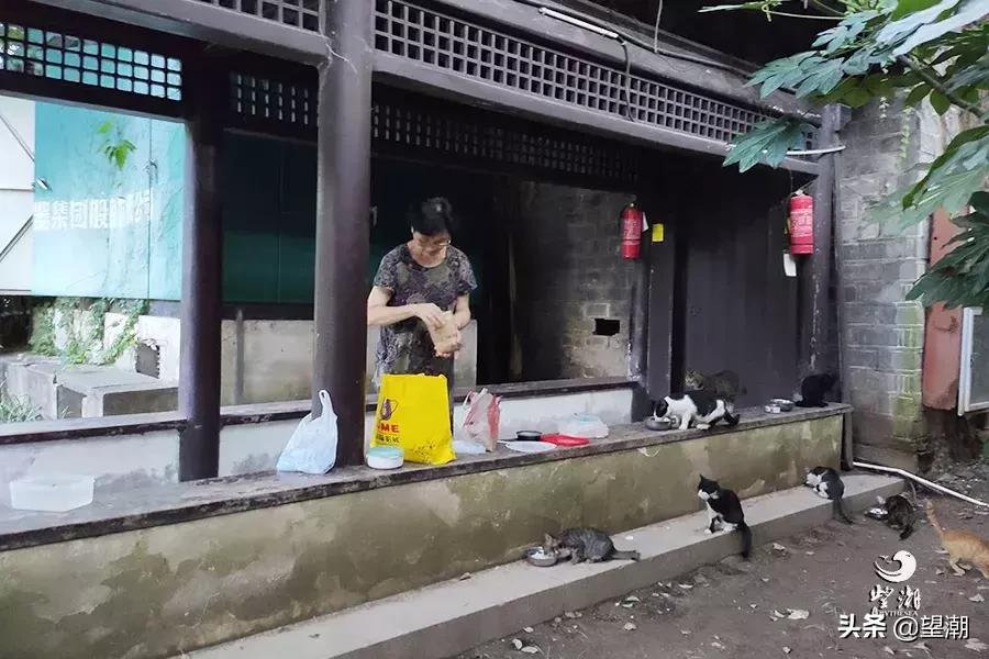 宁波镇明路,宁波第一街