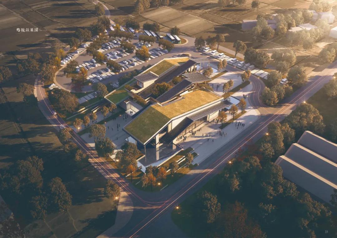 今日头条农村支部书记,浙江党支部书记