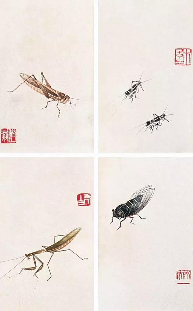 齐白石87岁画的虾背后的故事,齐白石画的虾真的图片及简介