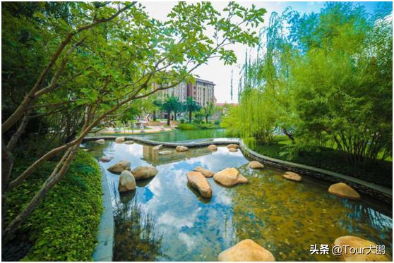 爱了！恒大“最美社区”遇见最美的春天