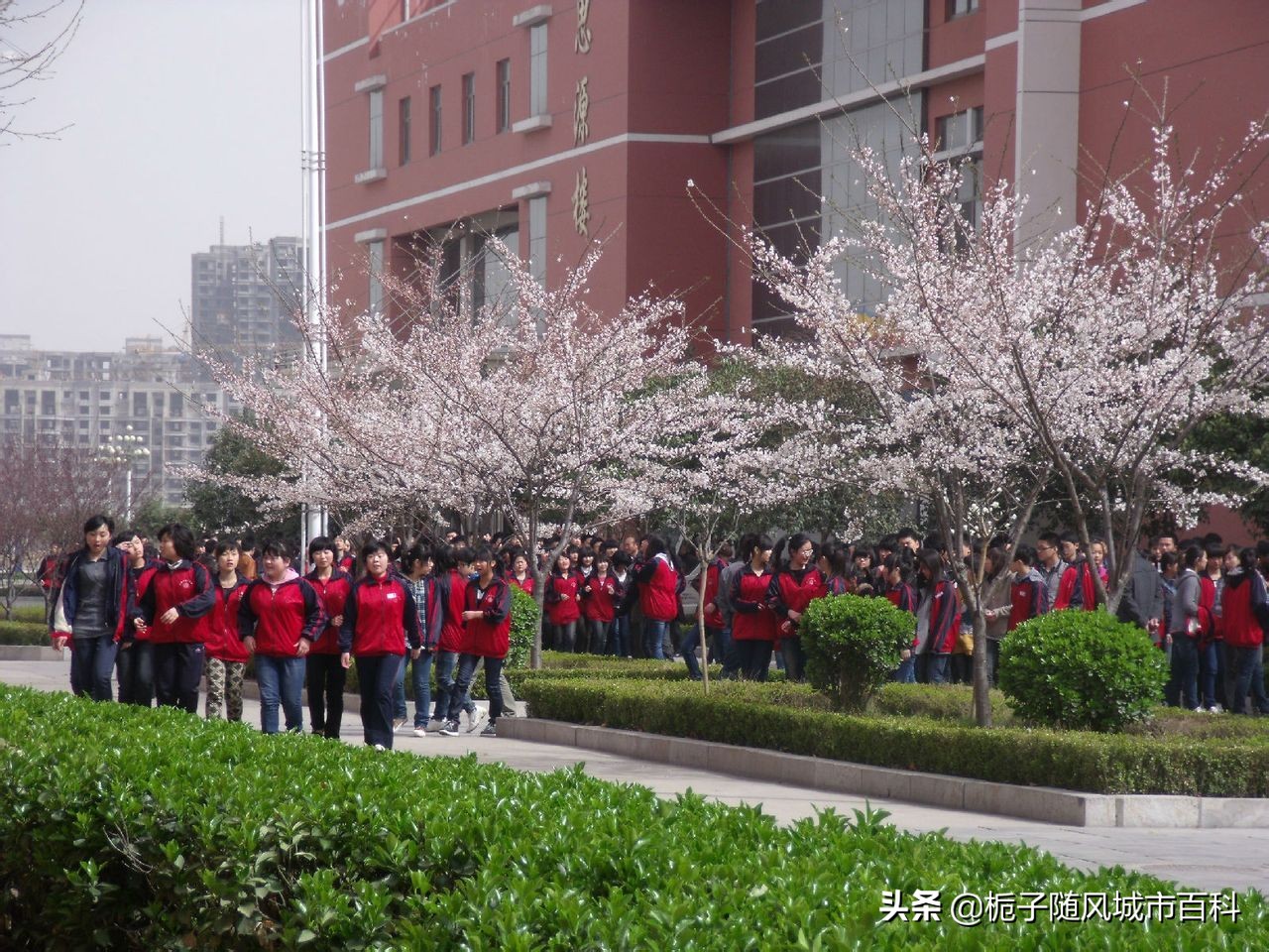 济宁市城区有几个公立高中,济宁市兖州区实验高中分数线