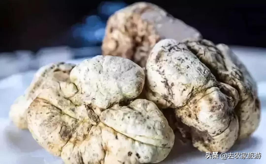 世界上最贵的东西十种排行榜,世界上最贵的十种东西是什么