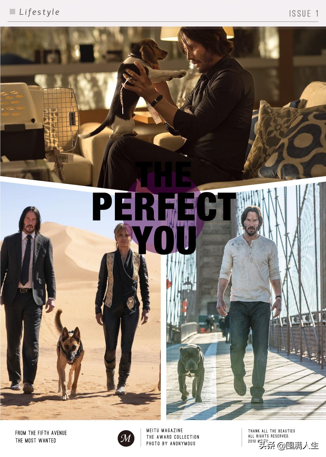 关于“疾速XX”系列的趣事,以及它是如何一部部走向一线哒