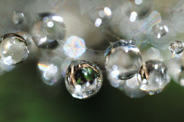 用微距镜头怎么拍花,春天拍花人像相机参数