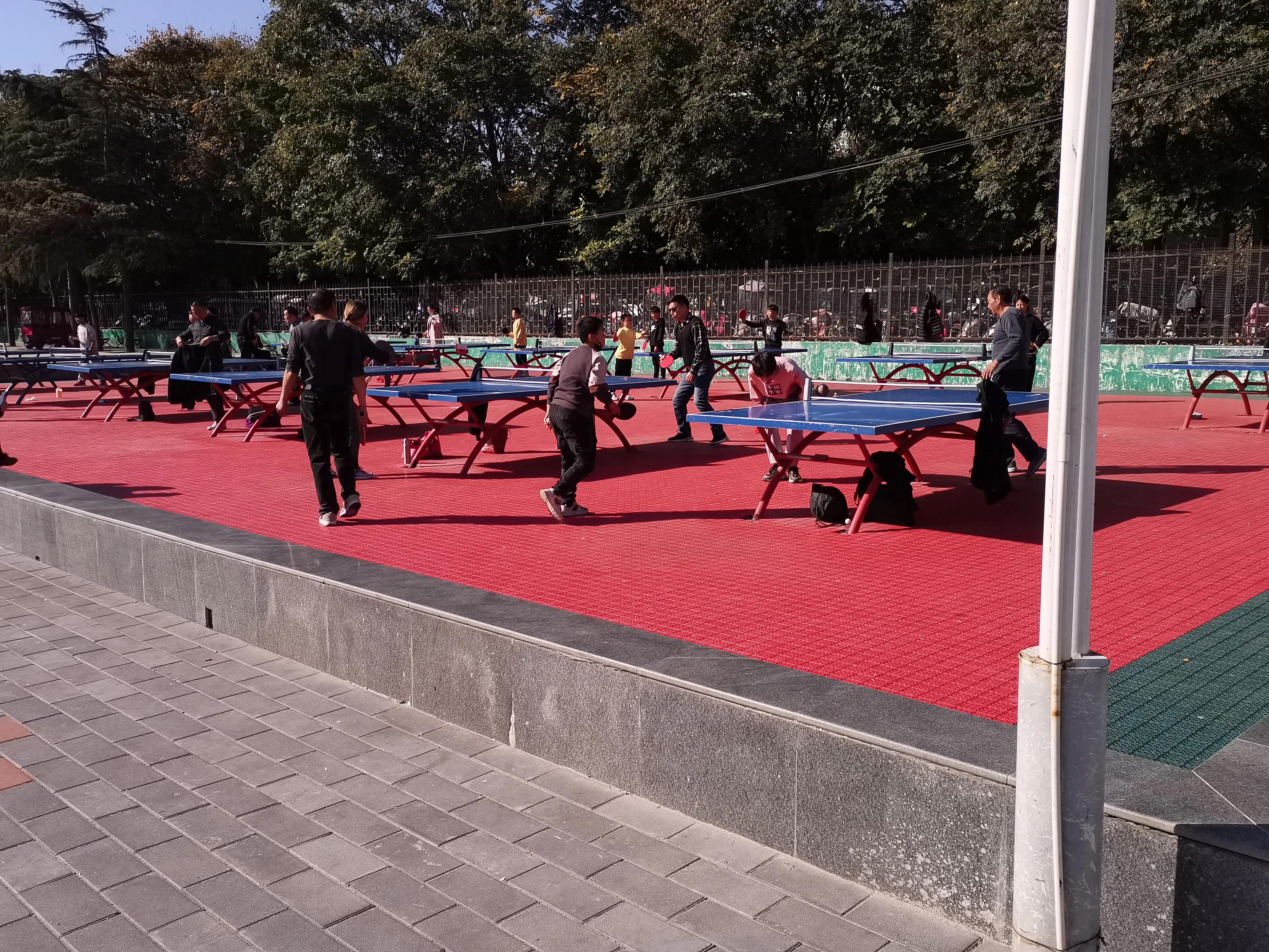 热闹的邓州体育运动场作者赵光选