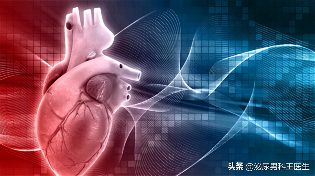 男性补叶酸有什么作用和功效,叶酸能够预防心血管疾病吗