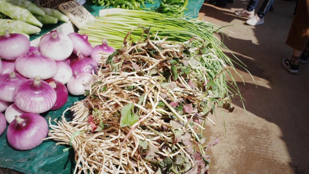 出发四季如春之地昆明,云南昆明攻略冬天