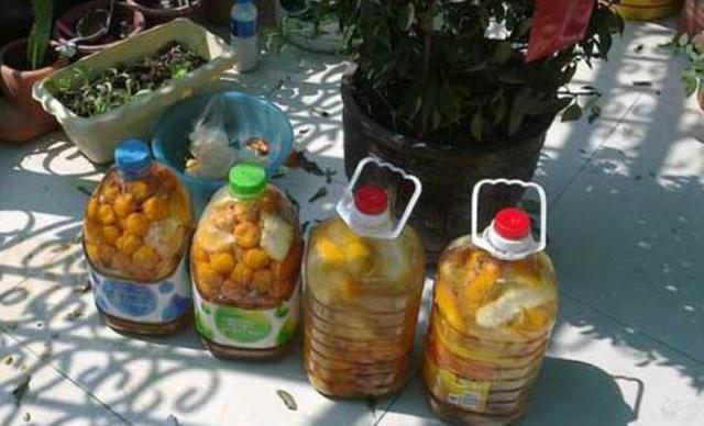 给兰花施肥，高手都是自己“调配”，偷偷告诉你“配方”，特好用