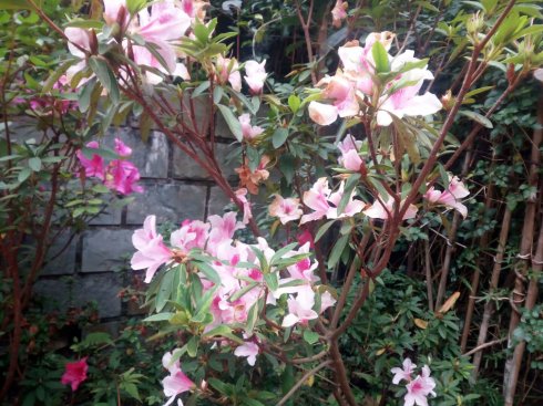 海丰莲花山仙人洞风景区,探索仙人洞