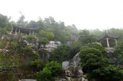 苏州碧螺春茶因为什么而著称,十大名茶之碧螺春