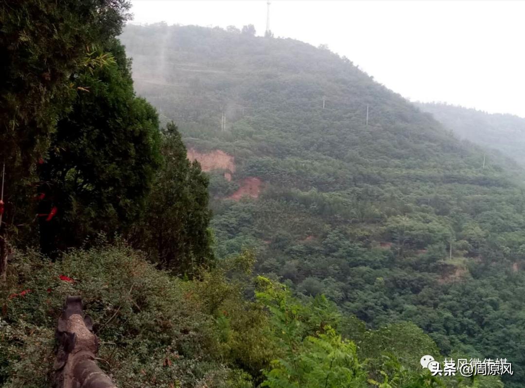 长寿梦,长寿梦完整版