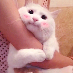 k歌之王唱歌技巧大全,k歌之王的技巧和方法