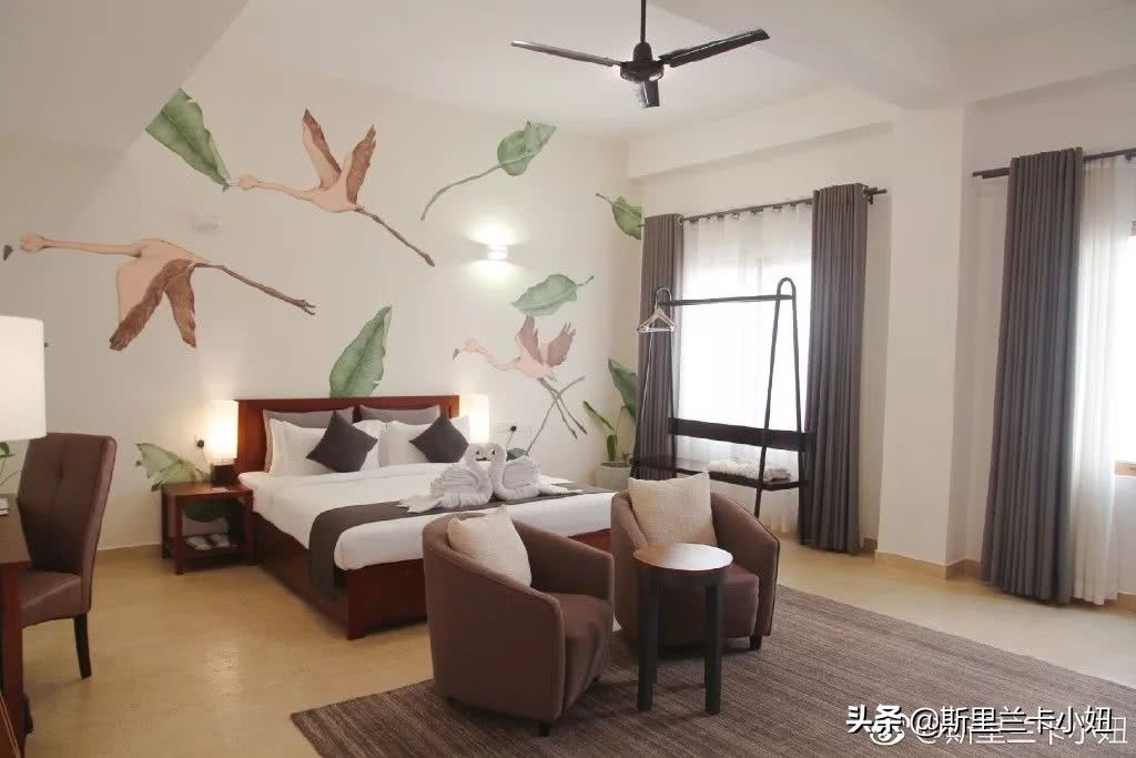 科伦坡淡山茱萸粉ins风酒店：清新艺术气质流行色不仅穿身上