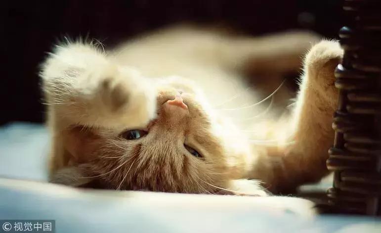 突发左腋下肿大原因,发烧腋下出现肿块是怎么回事