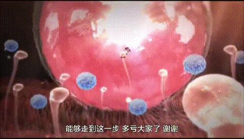 人类首次拍到卵细胞,精子和卵子结合为什么闪光