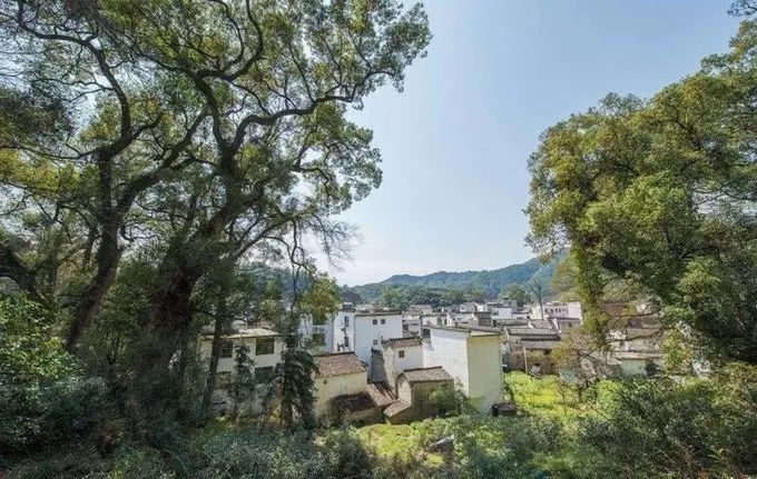 婺源旅游全攻略自由行,婺源旅游攻略一日游自由行