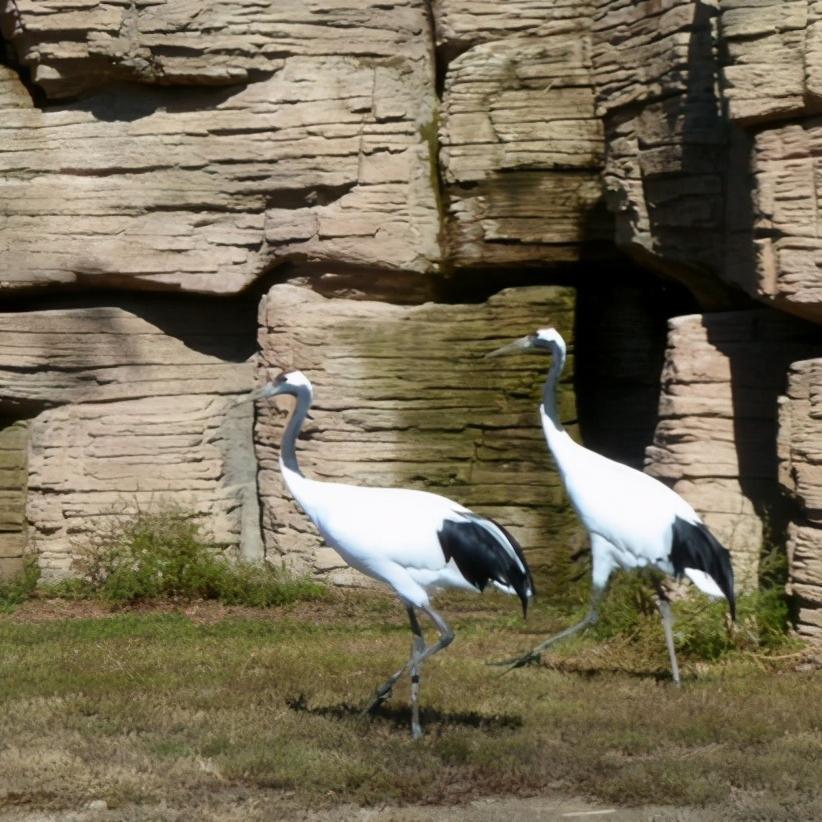 辽宁省盘锦市有哪几个区,辽宁省盘锦市所辖区有哪些