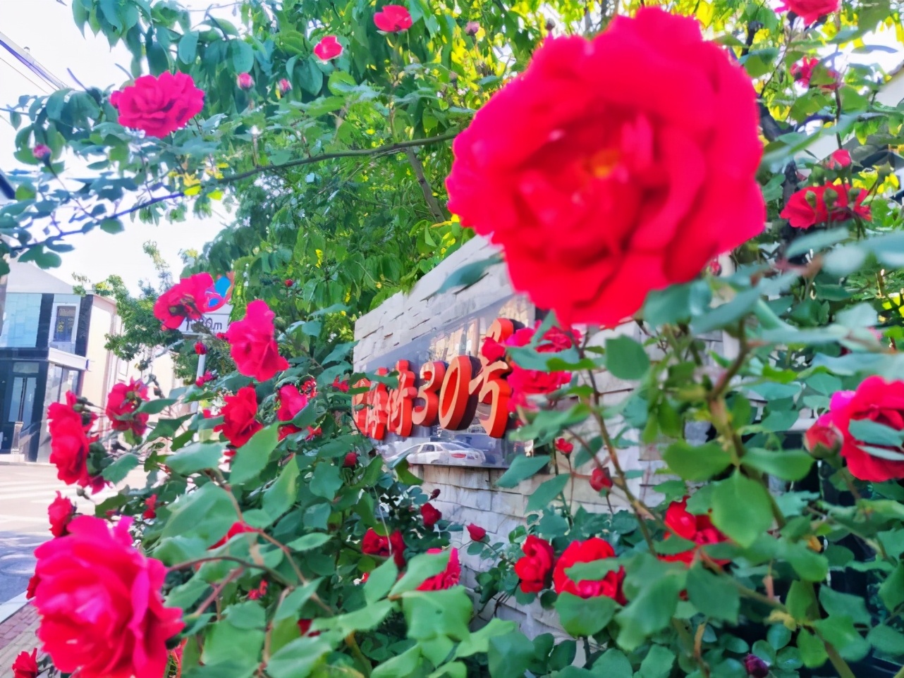 大连游玩街区,大连旅游街区推荐名单