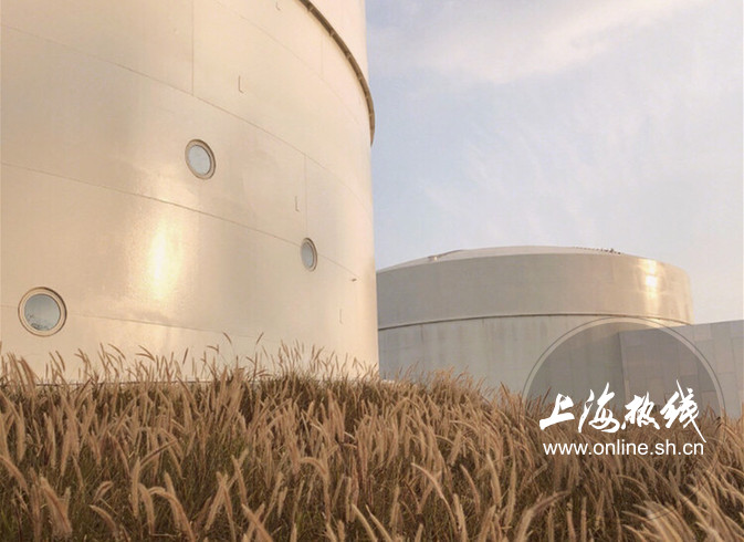 上海宁纷纷争先打卡废弃的油罐神秘的“白罐子”吸睛十足