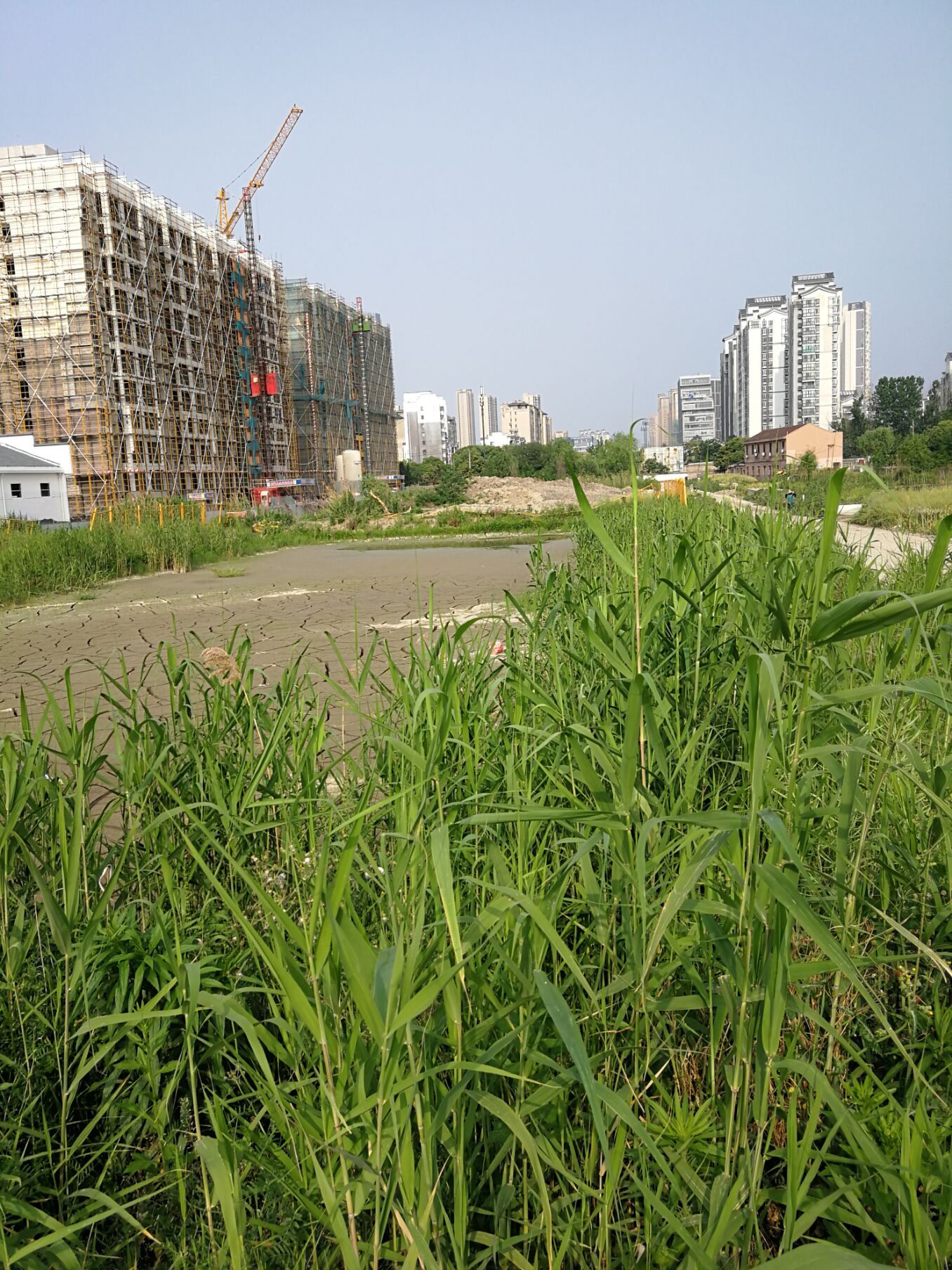 江阴锡澄运河的历史,锡澄运河老照片