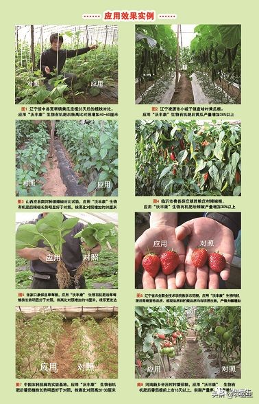 土传病害就是一颗不定时*弹炸**，怎么解决，你知道吗？