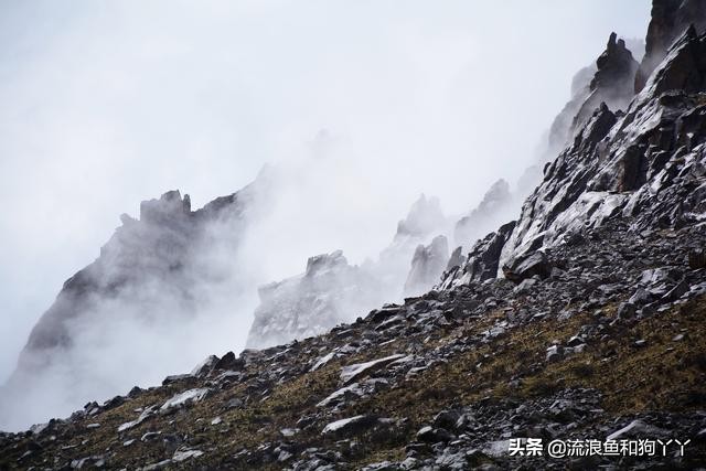 年保玉则现在开放了吗,年保玉则为啥被封