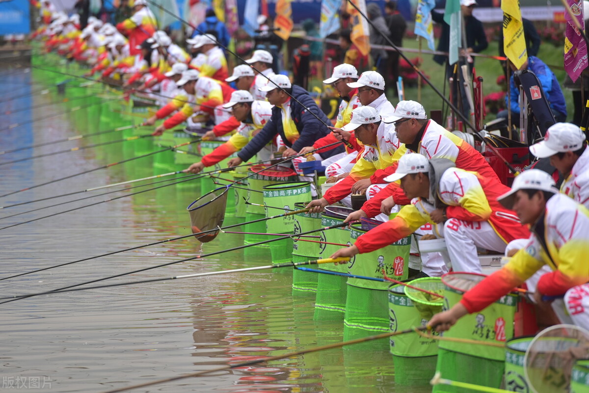 为什么现在的鱼难钓,鱼越来越难钓的原因终于找到了