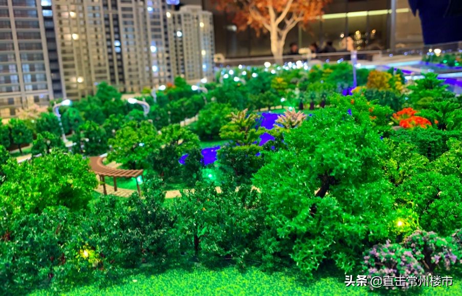 1天认筹超百组!常州这家网红盘火了,吸引大批买房人冒雨看房