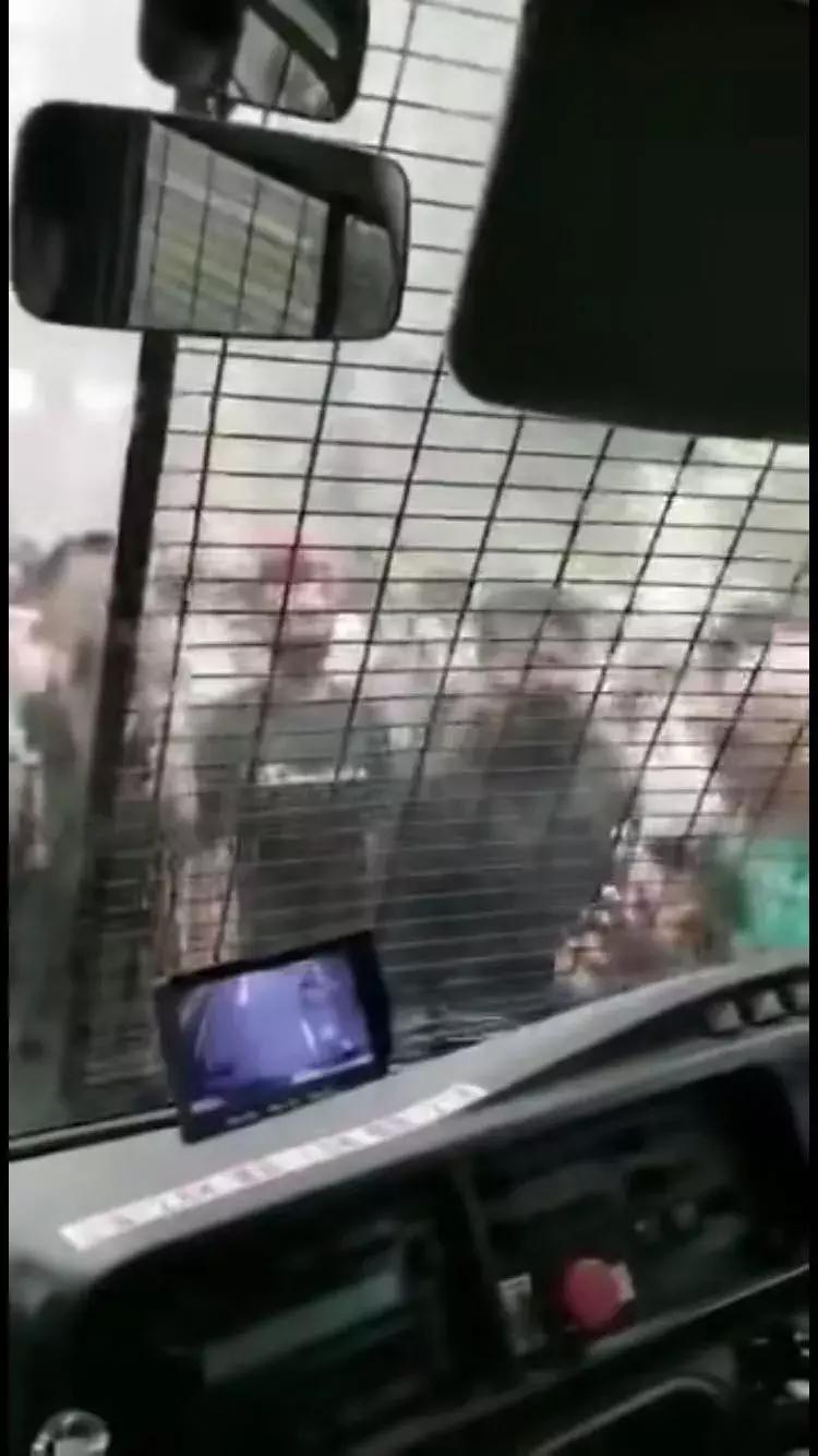 华春莹点赞特朗普,华春莹评特朗普