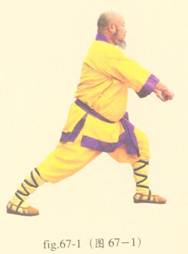 少林心意门拳视频教程,少林长护心意拳图解