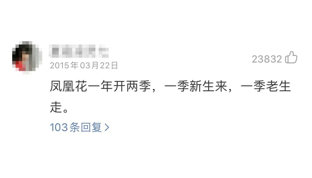 网易云音乐如何设置恋爱模式,网易云怎么听别人喜欢的歌