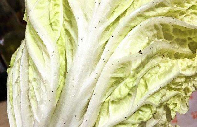 如何把放屁说的优雅,怎么样才能放一个安静的屁